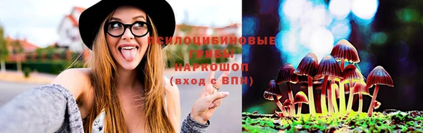 spice Карпинск