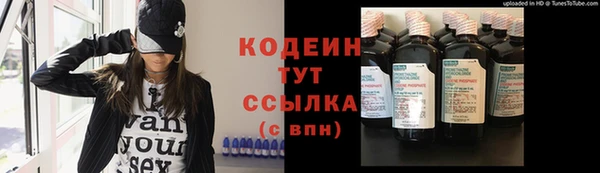 spice Карпинск
