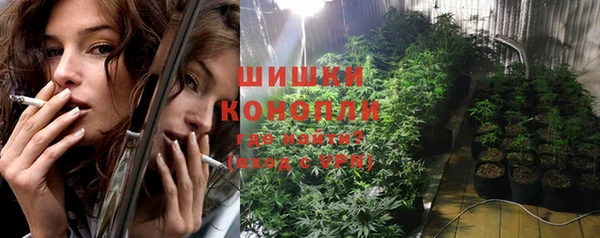 spice Карпинск