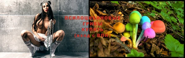 каннабис Касимов