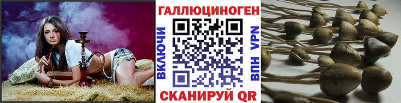 Псилоцибиновые грибы ЛСД  площадка какой сайт  Спас-Клепики 